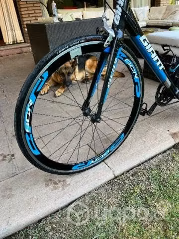Bicicleta ruta giant scr talla L 56