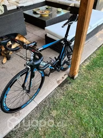 Bicicleta ruta giant scr talla L 56