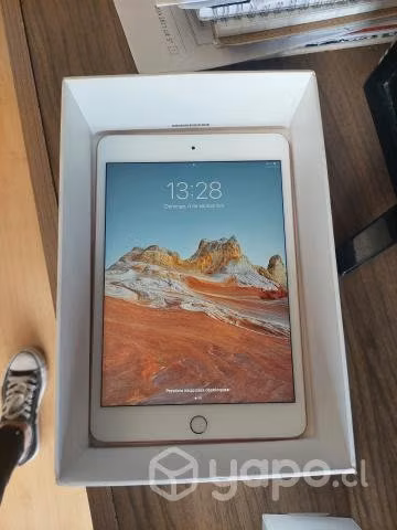 Ipad mini