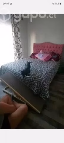 Rampa plegable para perritos, antideslizante