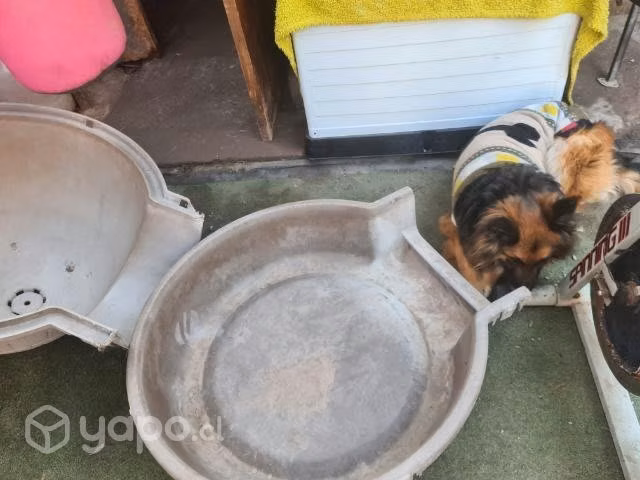 Casa de perro iglu grande desmontable