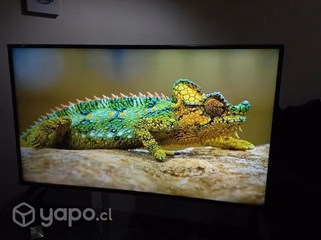 Smart tv 49' 4k