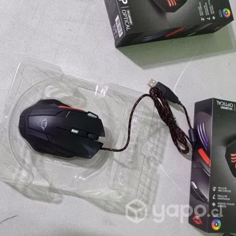 Mouse