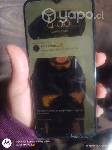 Redmi 9 T