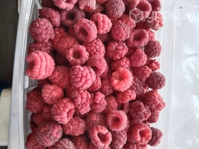 Frambuesas