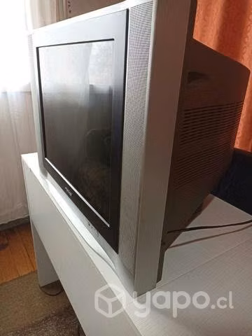 Televisor Recco 21 pulgadas
