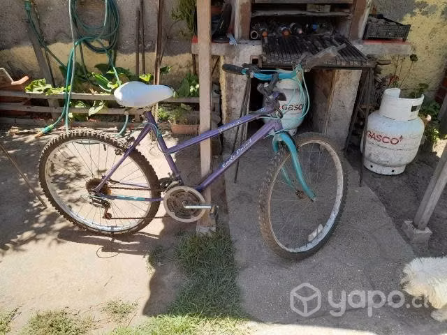 Bicicleta - Imagen 2