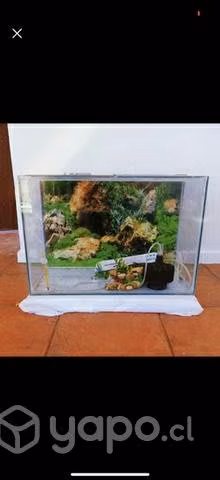 Pecera de vidrio