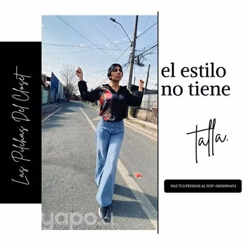 Blusas de Seda - Imagen 2