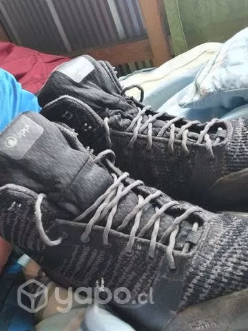 Zapatos lippi y yoki puma original
