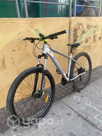 Bianchi peregrine 27,5