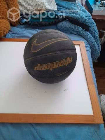 Pelotas de basket