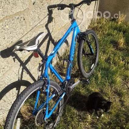 Bicicleta TREK