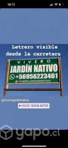 Arboles Nativos