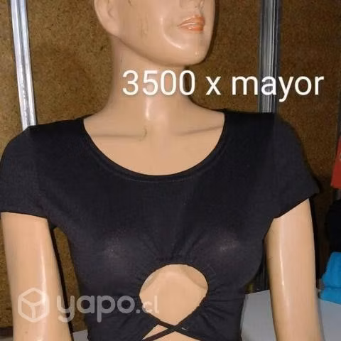 Crop,jogeer,