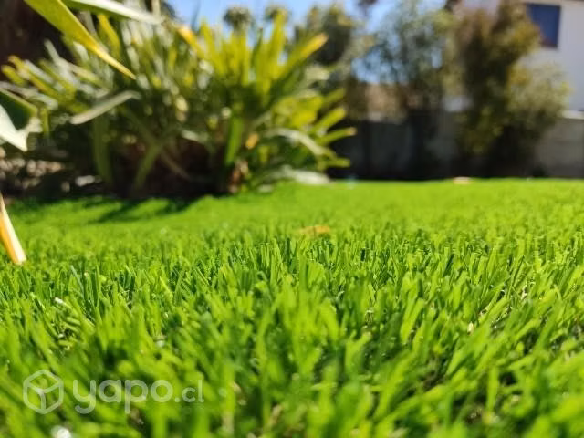 Pasto sintético