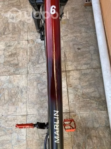 Trek Marlin 6 2022