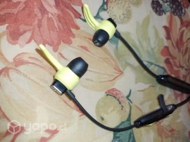 Audifonos sennheiser