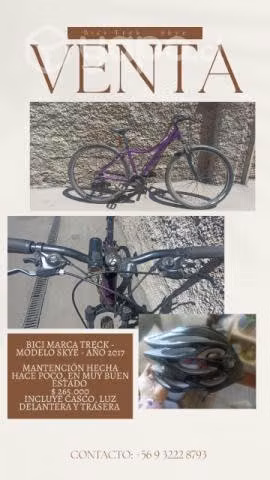 Bici Treck Skye