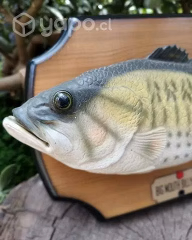 Pez cantante Big Mouth Billy Bass