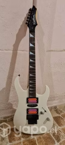 Washburn WG-248 Coreana