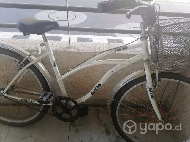 Bicicleta paseo
