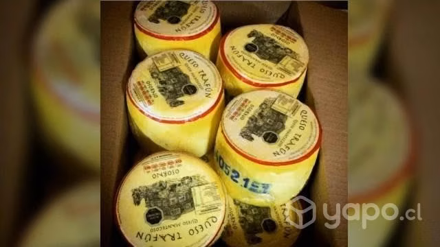 Queso Osornino