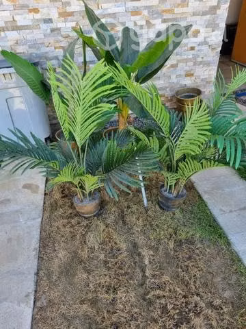 Plantas artificiales ornamentales