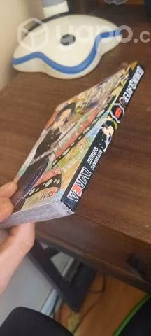 Manga kimetsu no yaiba #6