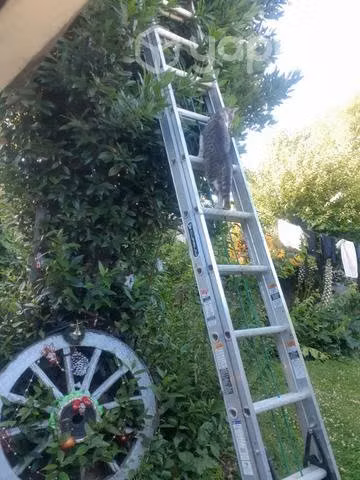 Escalera telescópica.
