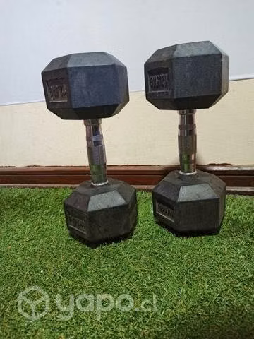 Mancuernas 12.5 KG
