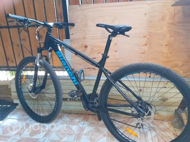 Bianchi Peregrine aro 29