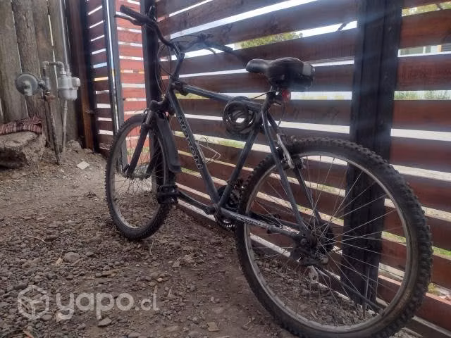 Bicicleta Bianchi