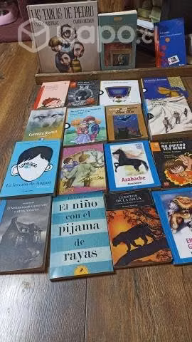 Libros lectura complementaria-ENTREGO A DOMICILIO