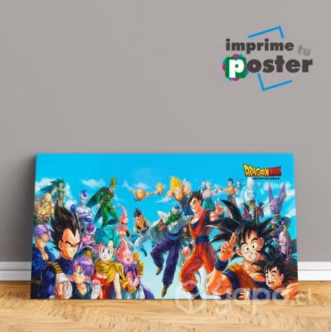 CUADROS TELA PVC 100x50cm llegar y colgar