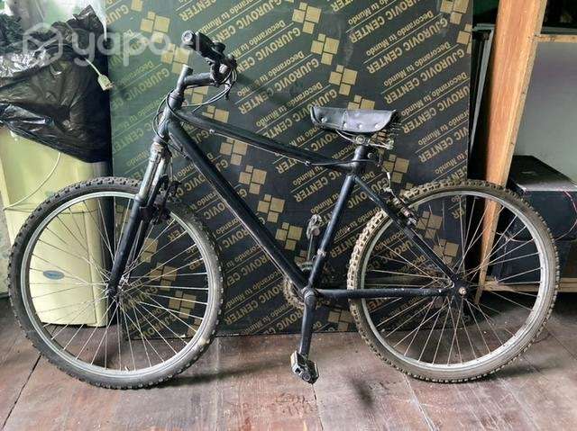 Bicicleta 1956 - Imagen 2