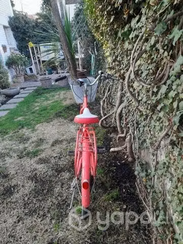 Bicicleta de paseo - Imagen 3
