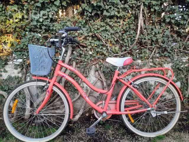 Bicicleta de paseo - Imagen 2