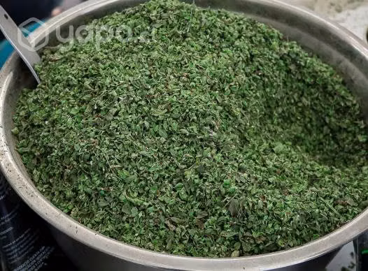 Orégano Aymara gourmet ORO VERDE