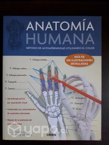 Anatomía Humana, Método De Aprendizaje Utilizando