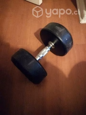 Mancuerna de 25kg