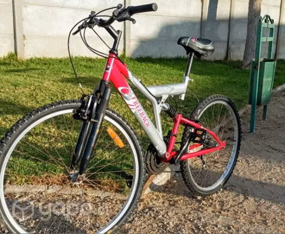 Bicicleta en perfecto estado