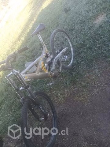 Bicicleta