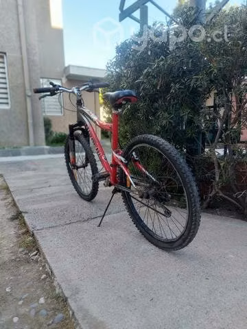 Bicicleta Bianchi, aro 24