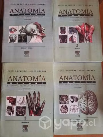 Anatomía humana - Rouviere 11ava edición