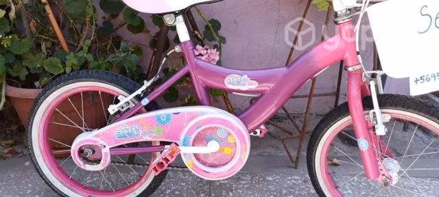 Bicicleta