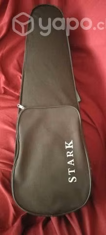 Case para violin