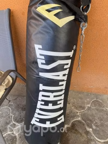 Saco box everlast