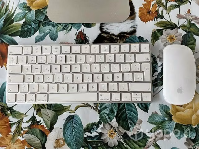 Apple iMac 21.5 Core I5 3.0 (4k, Mid-2017) - Imagen 3