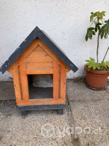 Casa de perrito